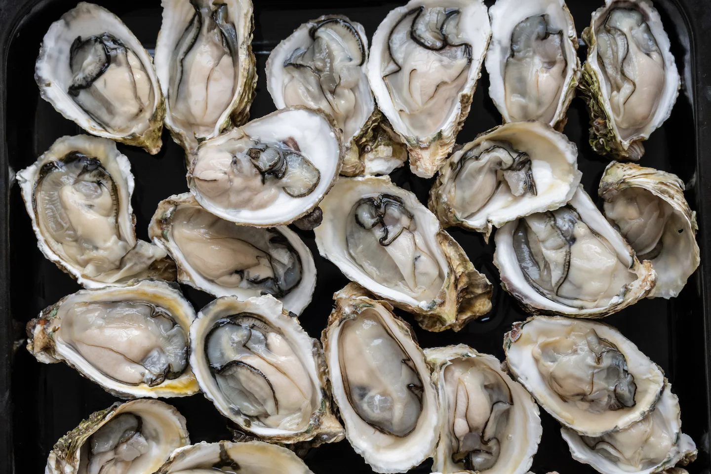 Featured image for Rising Flesh-Eating Bacteria Cases in Florida Linked to Warm Waters and Raw Oysters