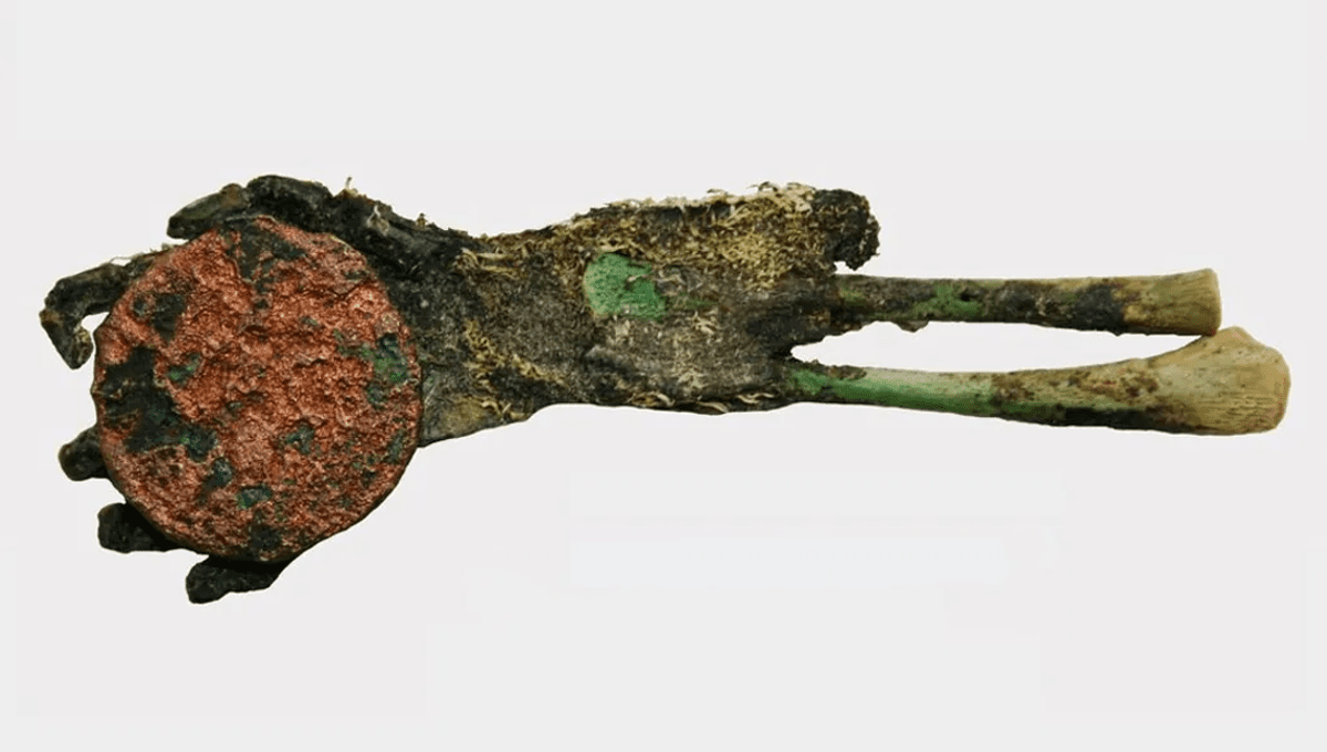 Mummified Green Hand Found Clutching Copper Coin in Cemetery Jar