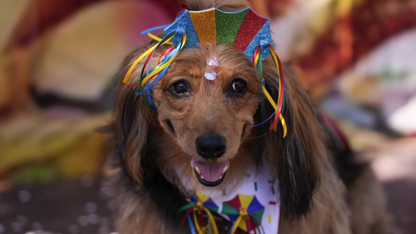 "Glittery Canine Parade Kicks Off Rio Carnival Extravaganza"