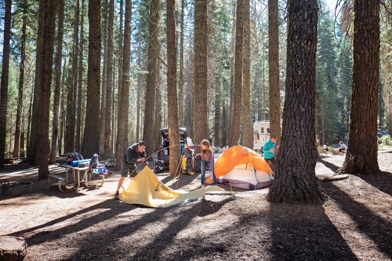 Featured image for "Governor signs California campsite reservation bill, bringing significant changes"