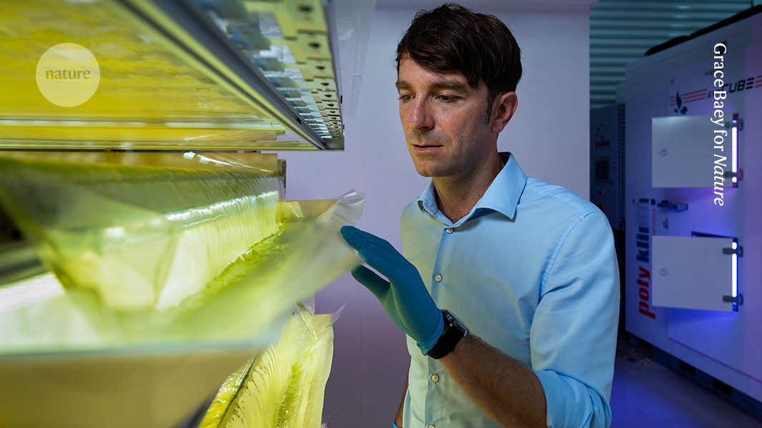 Featured image for Algal Protein: The Future of Plant-Based Meat