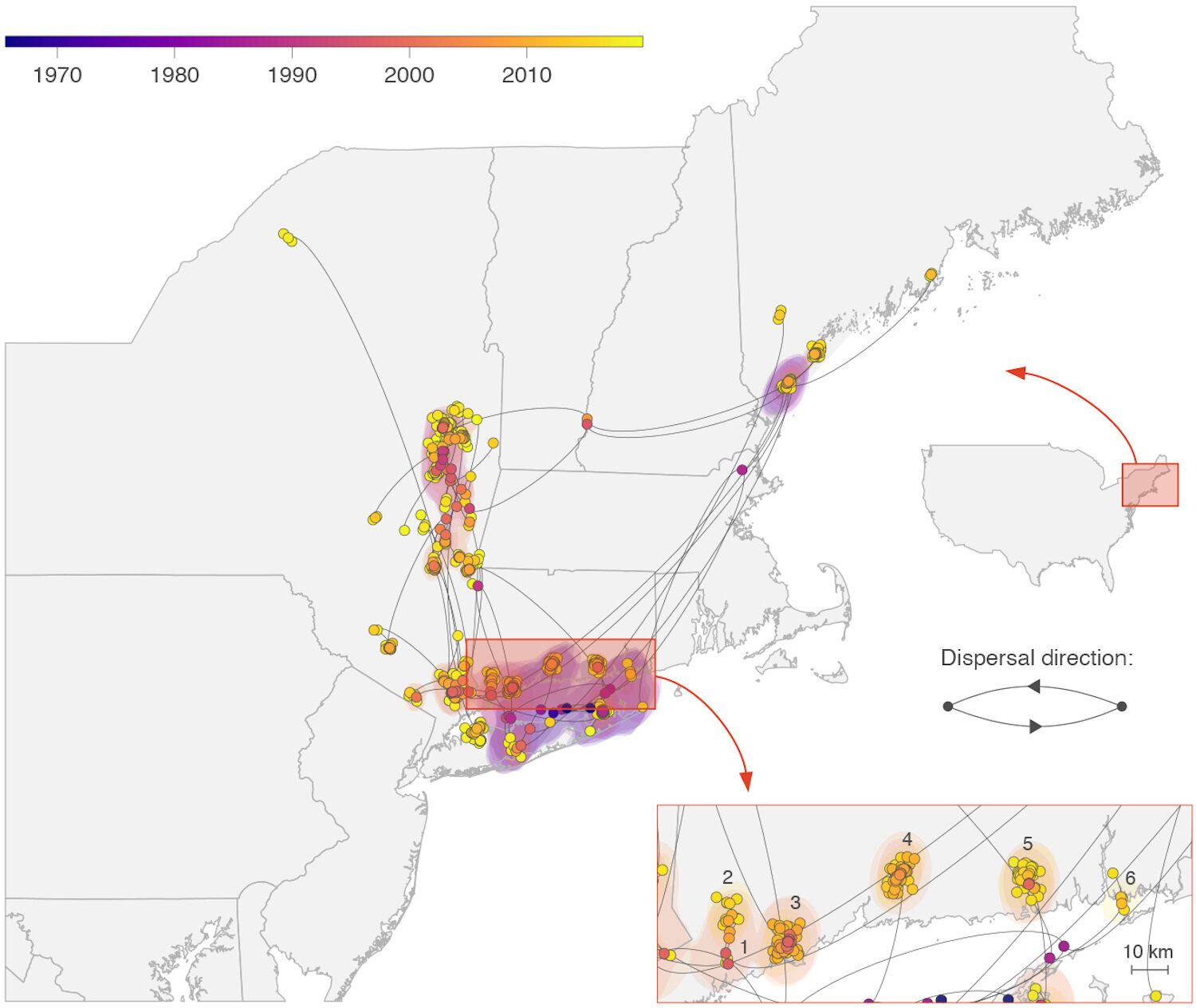 Featured image for Powassan Virus Spreading in Concentrated Clusters in New England, Experts Warn