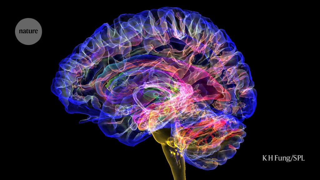 Featured image for Revolutionary Brain Implants Restore Cognitive Function After Traumatic Injuries