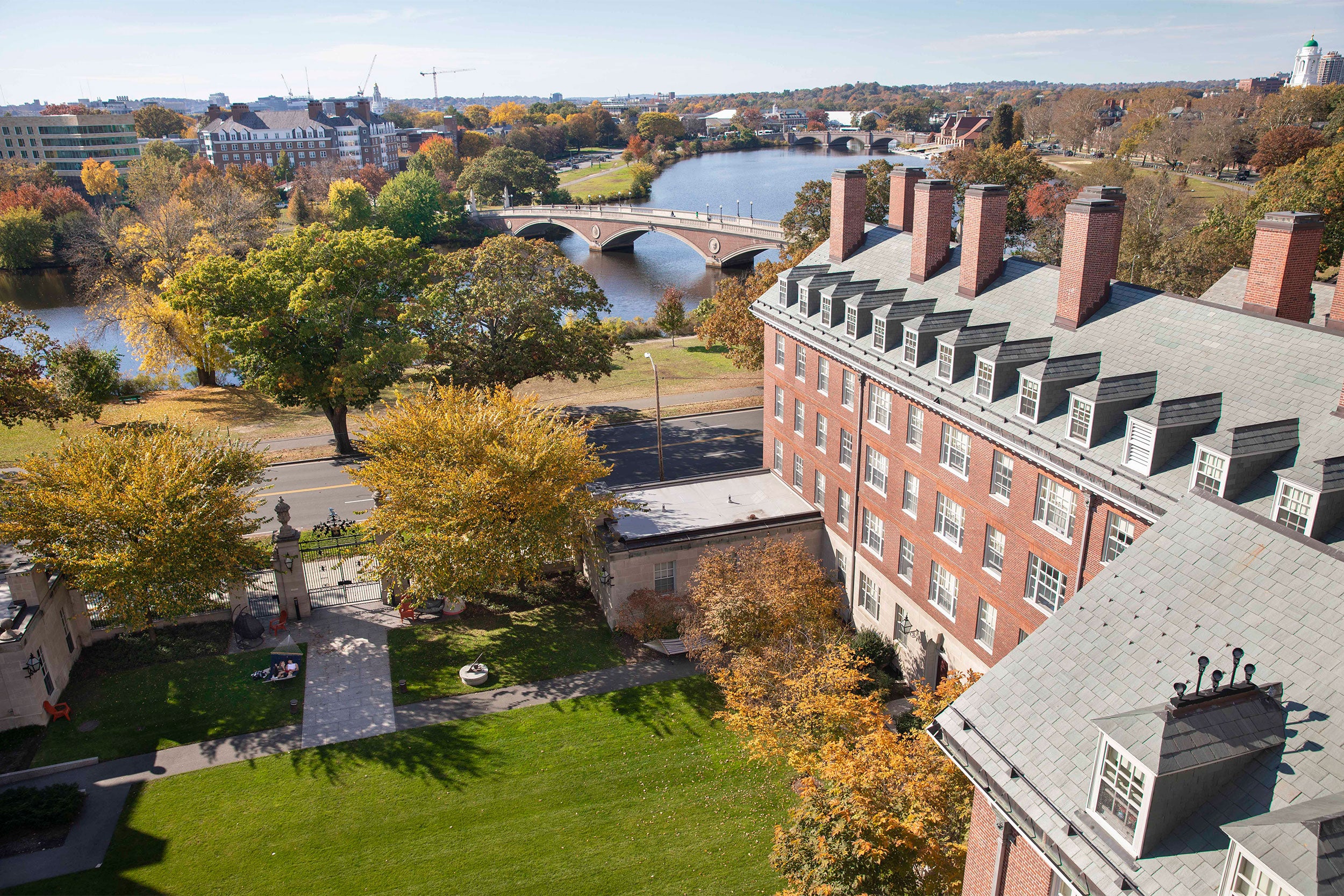 Featured image for Harvard's Early Admissions: Acceptance Rates Drop as Applications Decrease