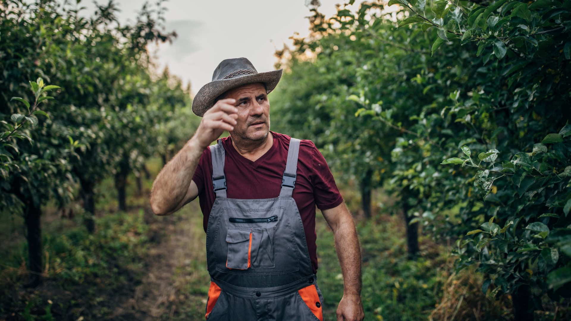 "5 Longevity Foods That Protect Like a Suit of Armor: What Doctors Eat Daily"