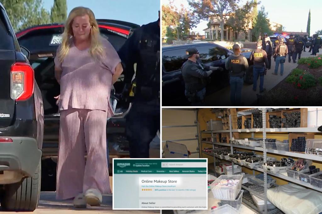 "Unveiling the Shadowy World of Organized Retail Theft Rings"