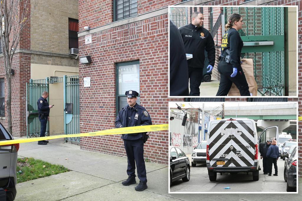 Tragic Triple Homicide: Man, Woman, and Child Found Stabbed in Bronx Apartment