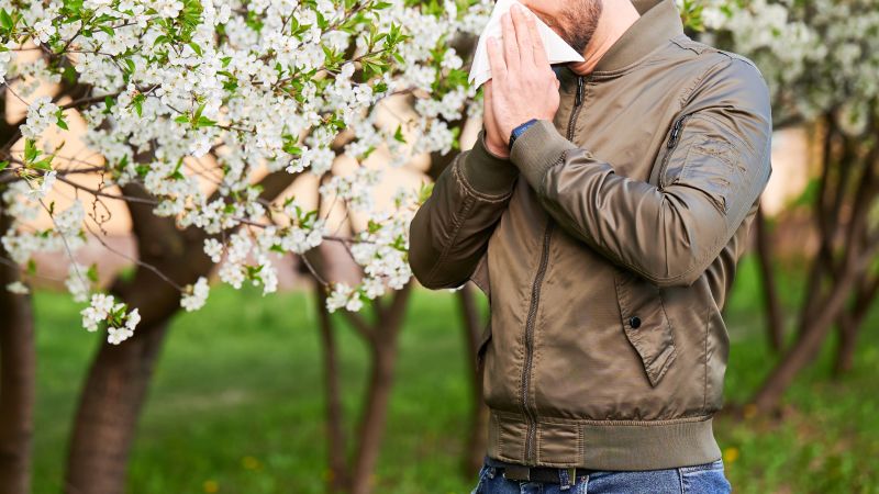 Featured image for Navigating Seasonal Allergies: Tips and Forecasts for 2024
