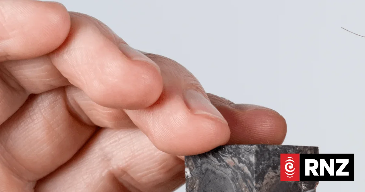 Ancient fossil hints at a previously unknown life form