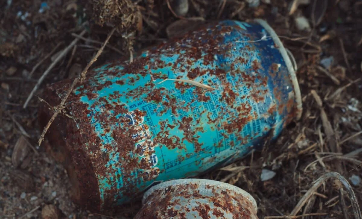 Decades-Old Salmon Cans Offer a Time Capsule of Ocean Health
