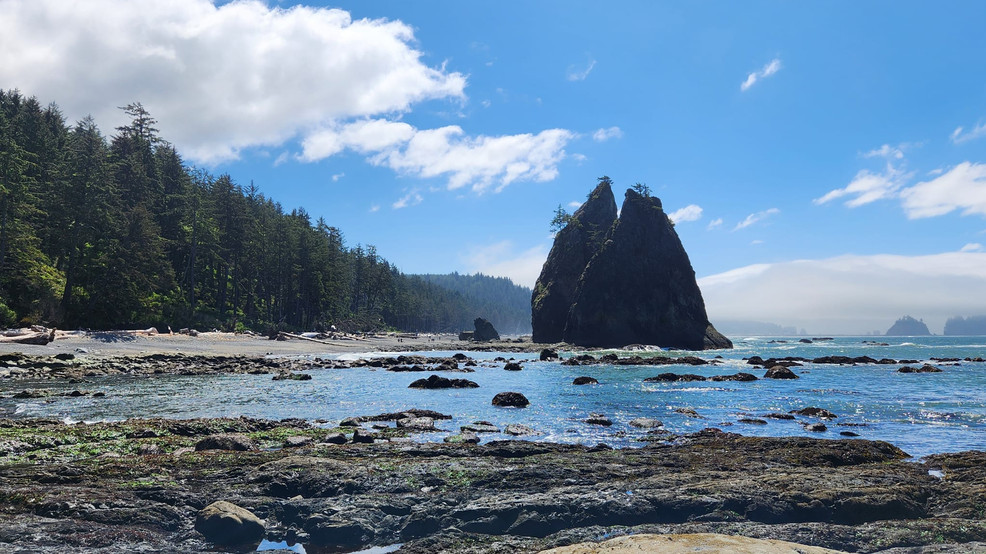 Featured image for "Tragic Discovery: Missing Woman Found Dead at Rialto Beach"