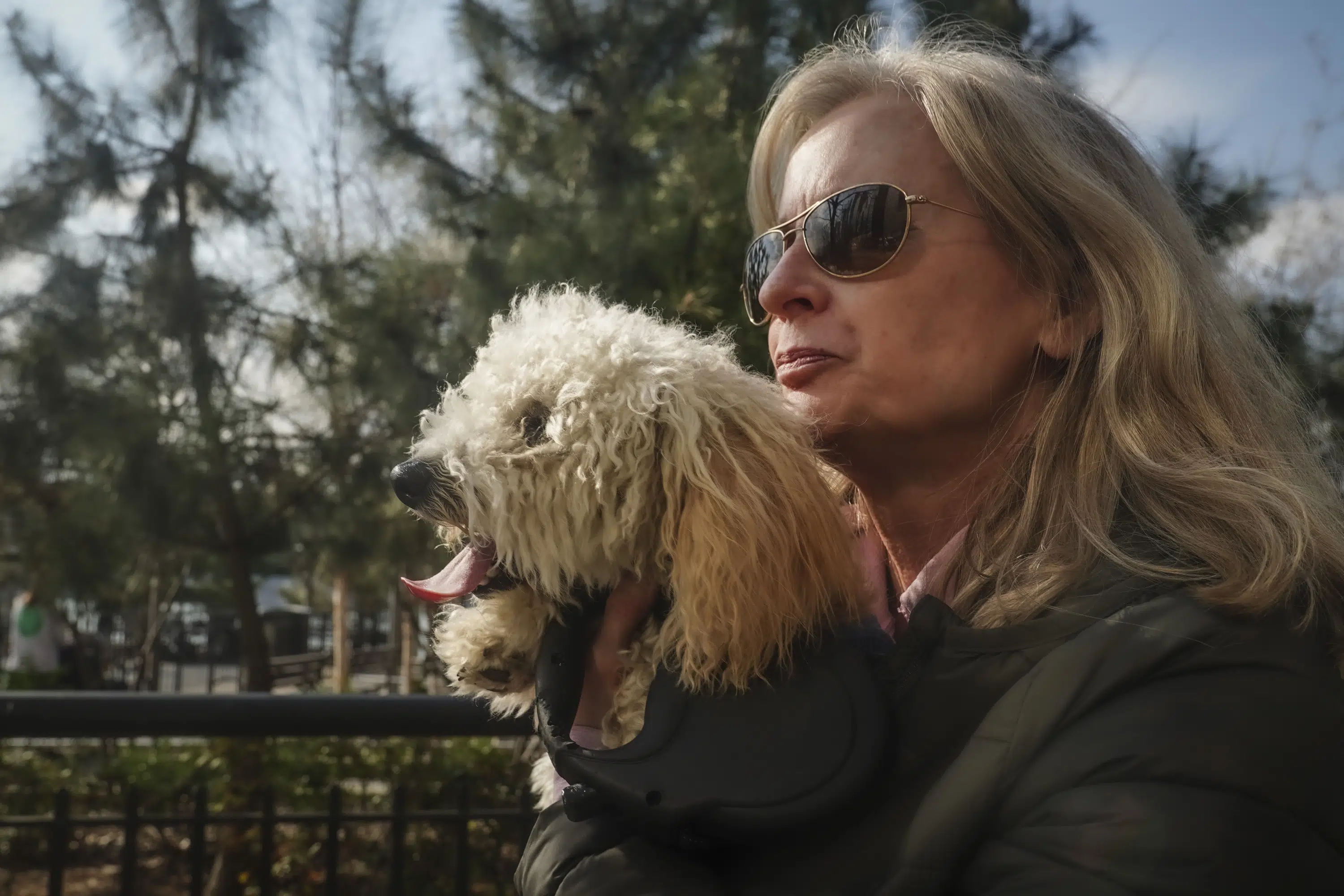 Beware of Discarded Joints: A Hazard for Dogs.