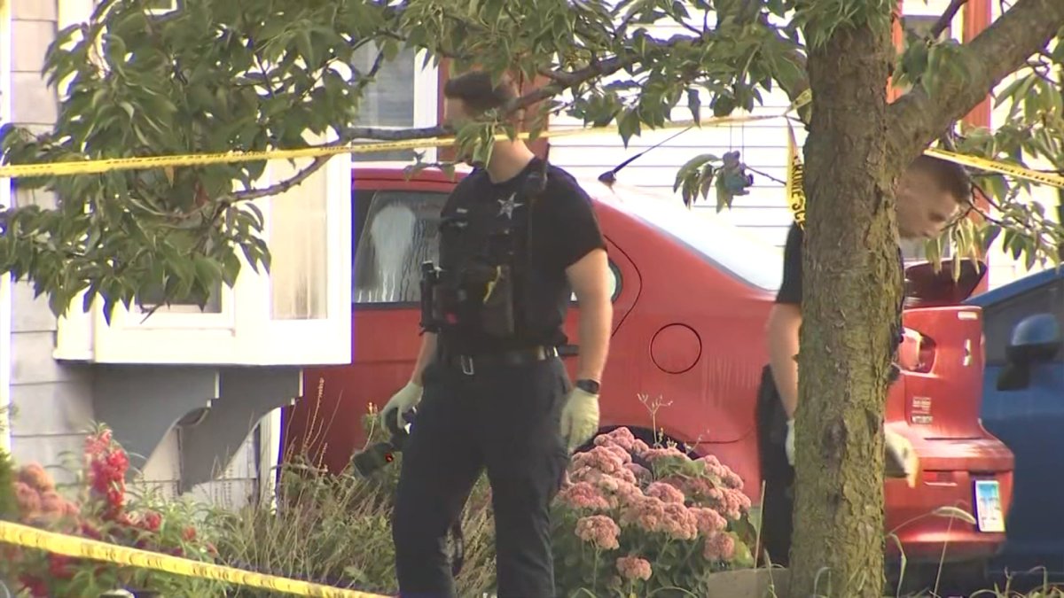 Tragic Murder of Romeoville Family Ends in Suspect's Death
