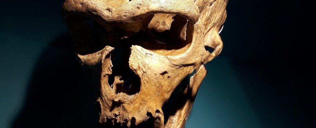 Neanderthals Unveiled: Surprising Evidence of Human-Like Speech