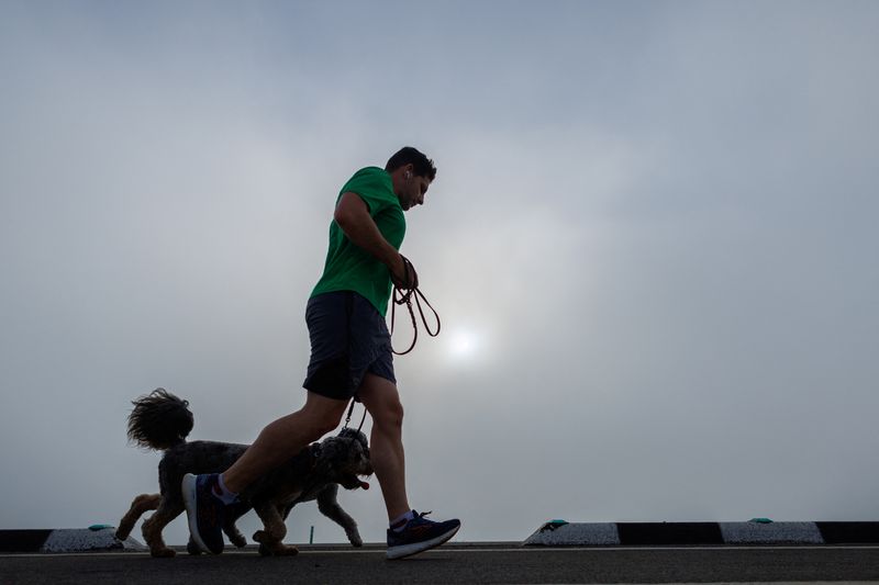 Featured image for "Study reveals widespread hesitancy among US dog owners towards canine vaccines"