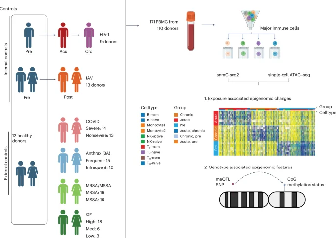 Genetics and environment jointly sculpt the immune cell epigenome