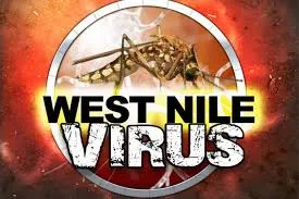 Featured image for Illinois Reports First Human West Nile Virus Case of 2025 in Wayne County