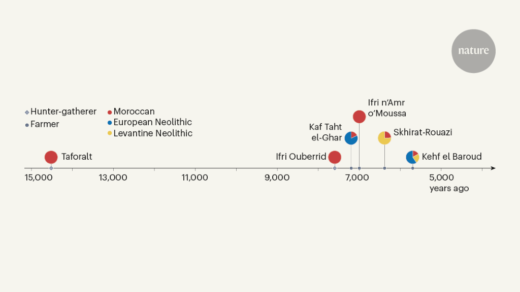 Featured image for Migrants from Iberia and Levant sparked farming in northwest Africa.