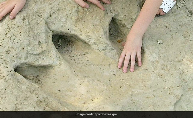 Featured image for "Brazilian Footprints Reveal New Dinosaur Species Unearthed by Scientists"