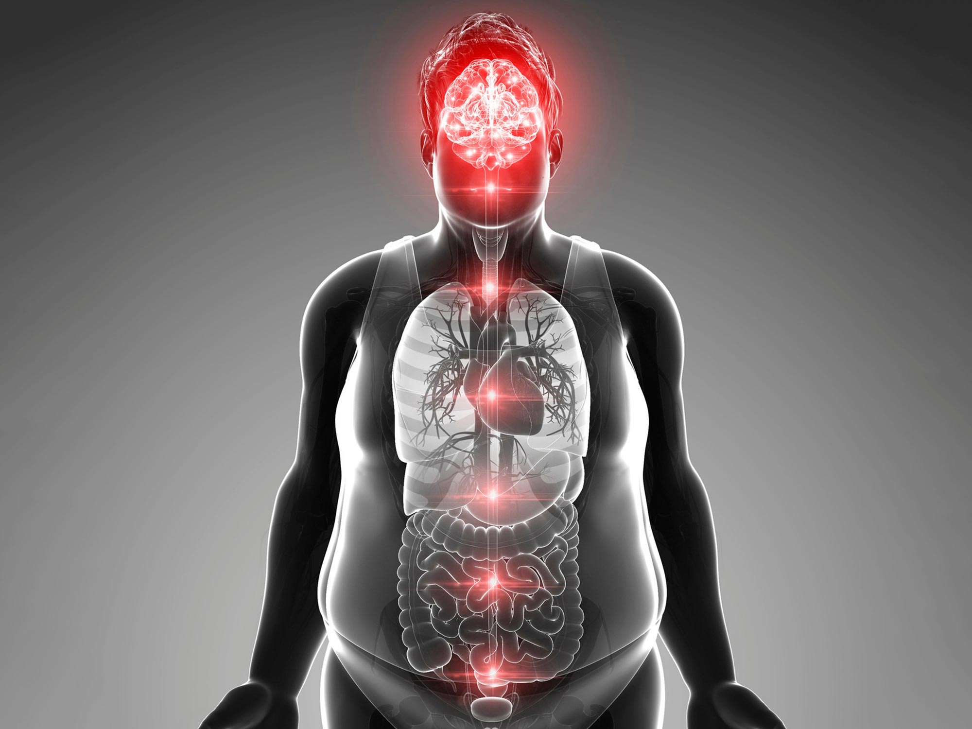 Featured image for Uncovering the Brain's Role in Middle-Aged Obesity