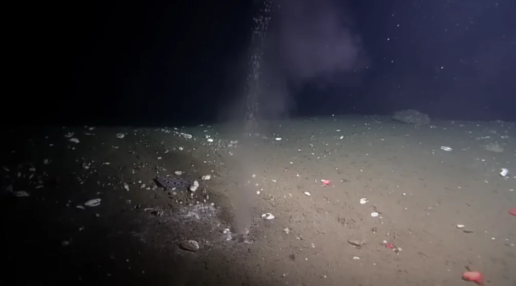 Uncovering the Cascadia Fault's Potential for Deadly Quakes.