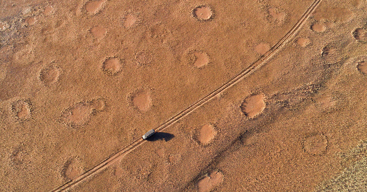 Featured image for Global Discovery: Mysterious Fairy Circles Unveiled in Numerous Countries