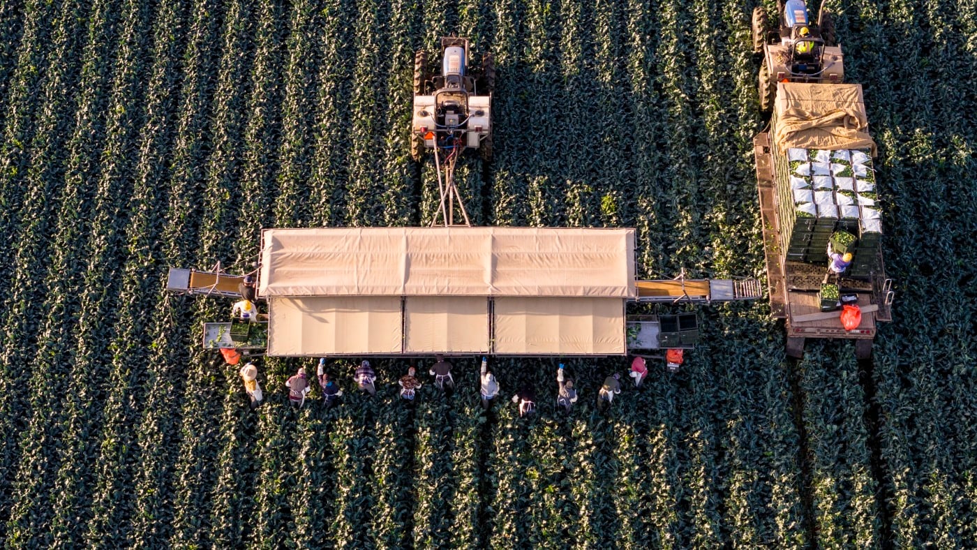 Featured image for Trump Implements Temporary Halt on Immigration Raids in Key Industries