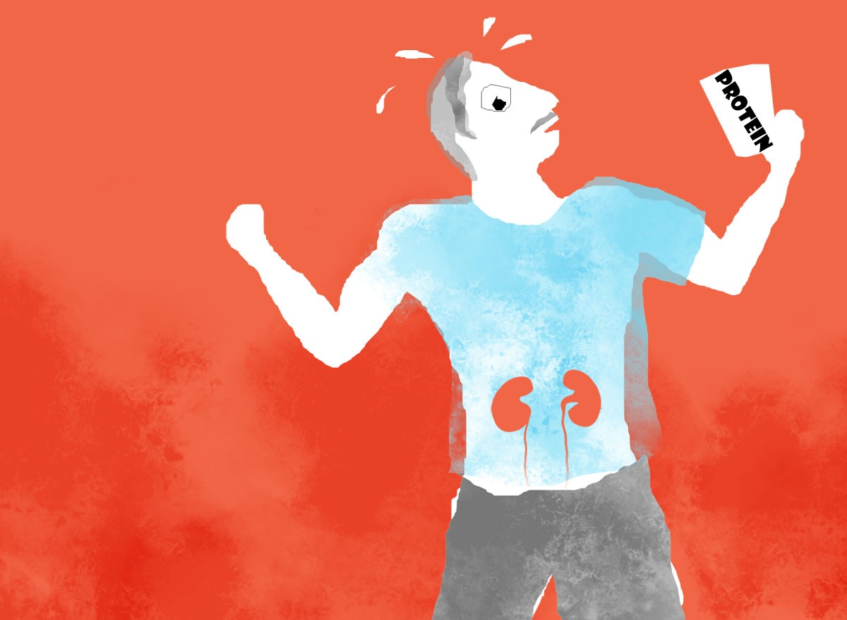 Featured image for Debunking the Myth: Protein Powder Does Not Harm Kidneys.