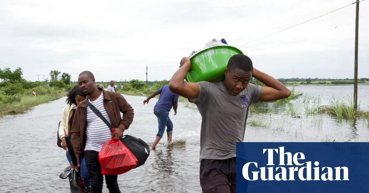 Crocodile Threat and Hunger Risks Rise as Southern Africa Faces Massive Floods