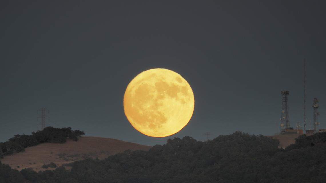 Featured image for Upcoming Celestial Events: Blood Moons, Saturn, and Venus in the Sky