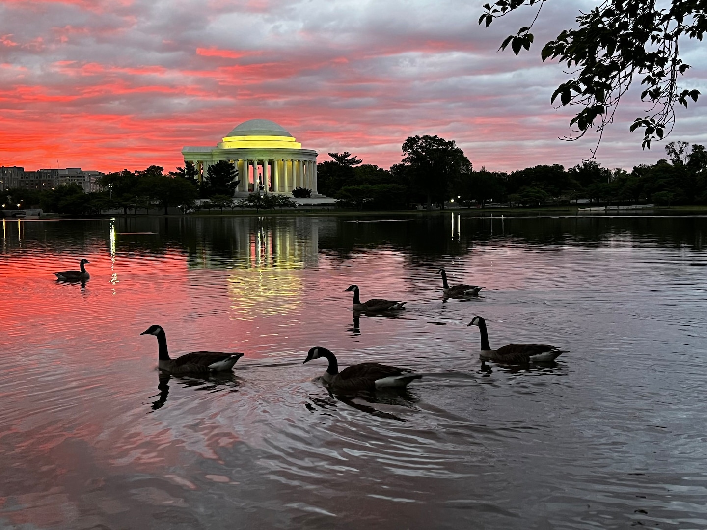 Featured image for Weather forecast: Showers and chill tonight, but warmer days ahead.