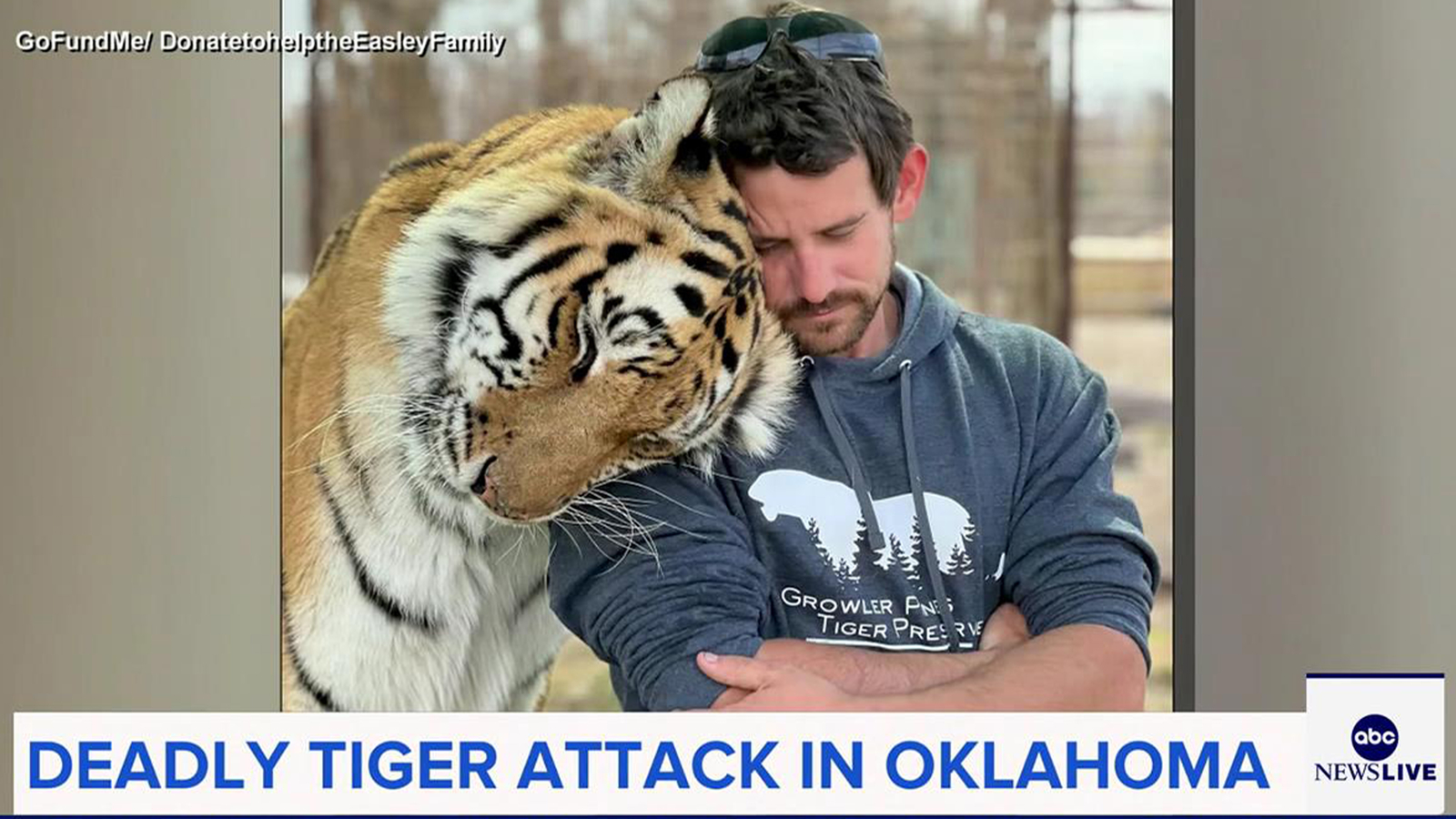 Featured image for Tiger Attack at Oklahoma Wildlife Preserve Results in Fatality