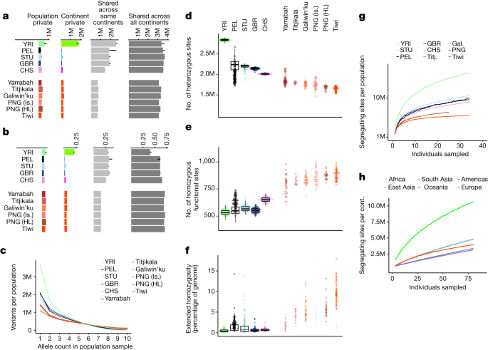 Featured image for Uncovering the Genetic Diversity of Indigenous Australians: Key to Tailored Treatments