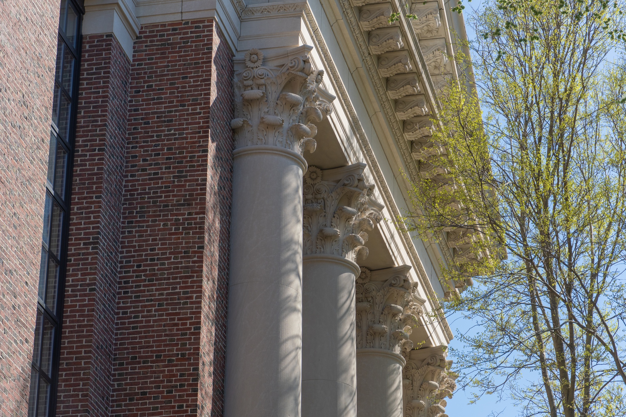 Judge Temporarily Blocks Trump’s Visa Ban on Harvard International Students