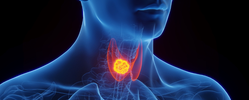 Featured image for MHRA Probes Cancer and Pancreatitis Risks of GLP-1 Drugs Like Ozempic