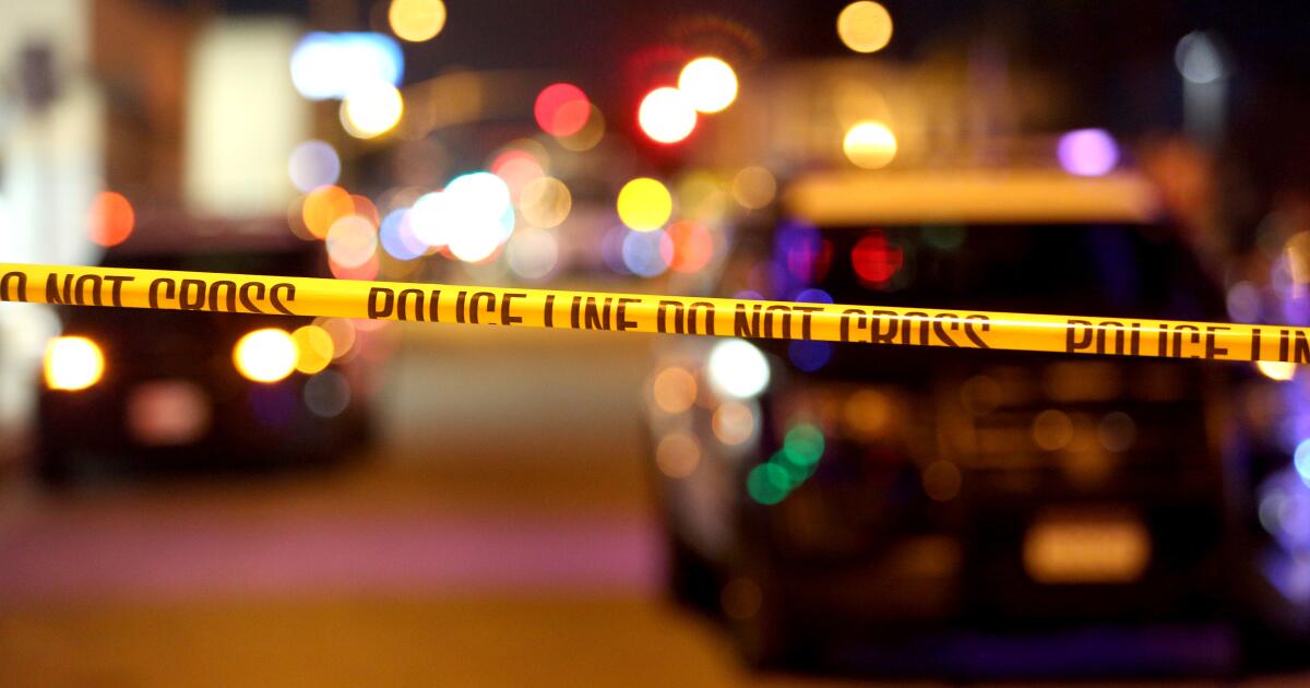 Featured image for Off-duty ICE agent fatally shoots armed man in Northridge