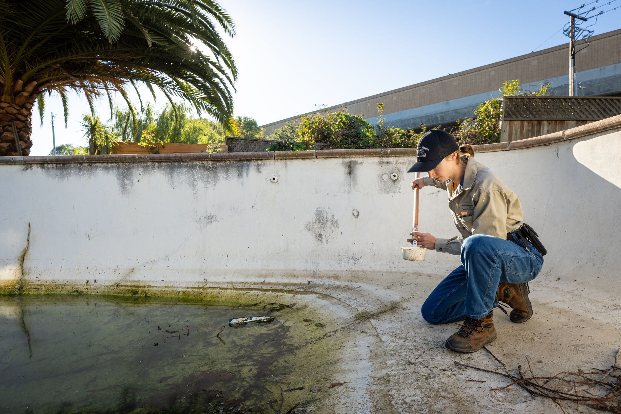 Wet weather brings mosquito concerns to California.