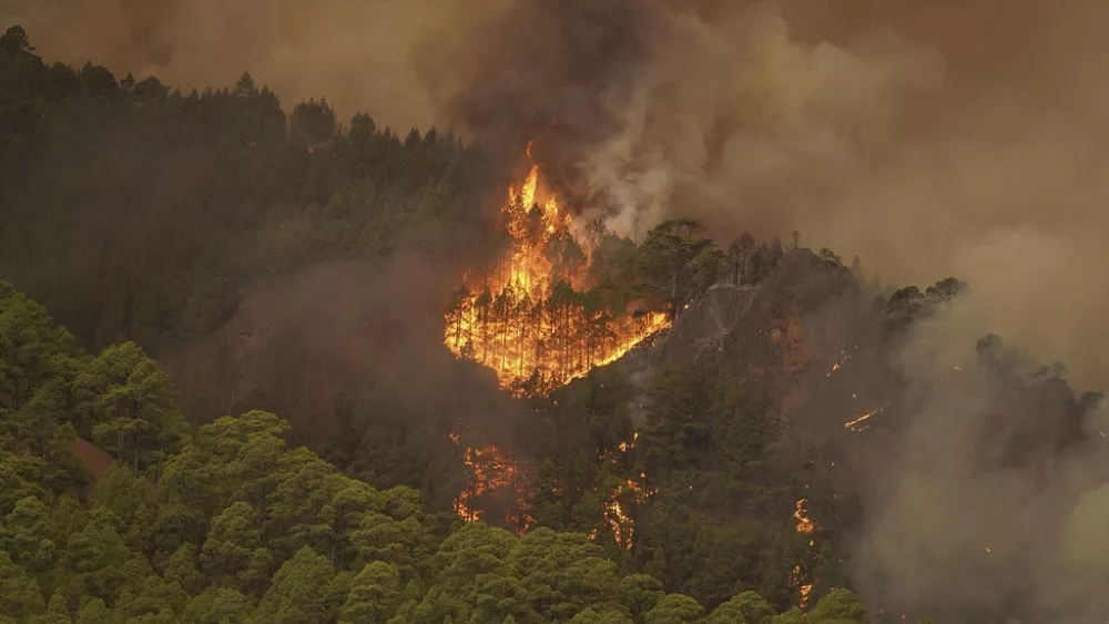 "Massive Wildfire Engulfs Tenerife, Forcing Evacuations and Shelter-in-Place Orders"