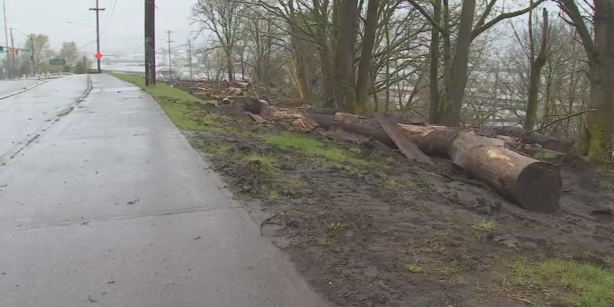 Boston faces backlash over handling of homeless encampment.