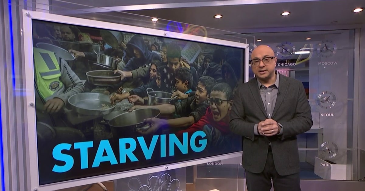 "The Ongoing Humanitarian Crisis: Life and Death in Gaza"