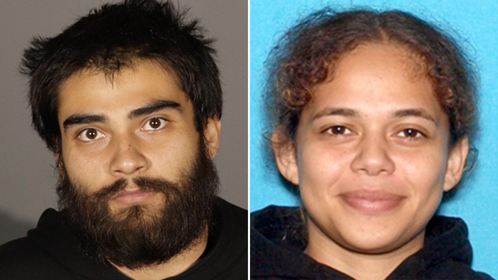 Featured image for Arrest Made in Flash Mob Robbery Spree Targeting Luxury Stores