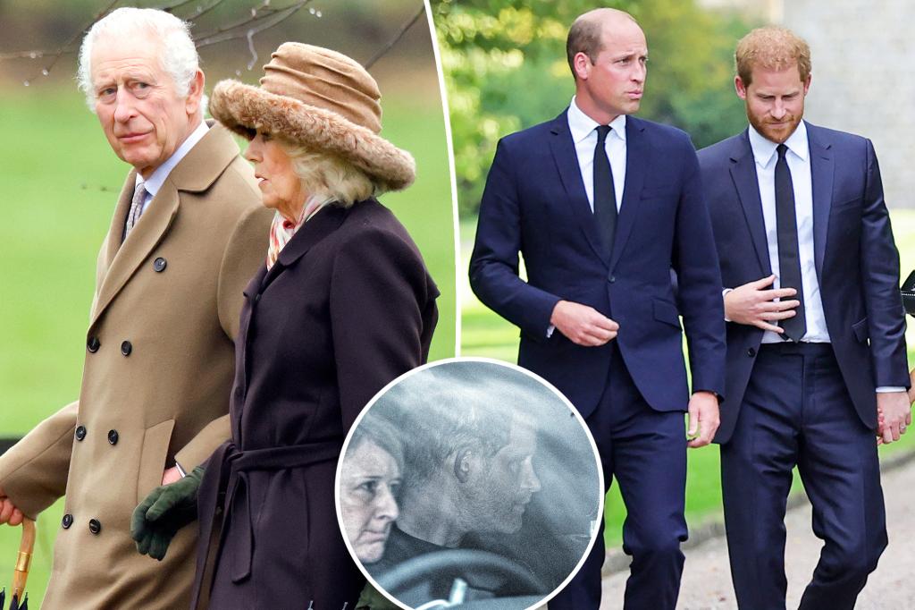 "Prince Harry's Reconciliation Efforts with William Ahead of UK Visit Amid Royal Health Concerns"