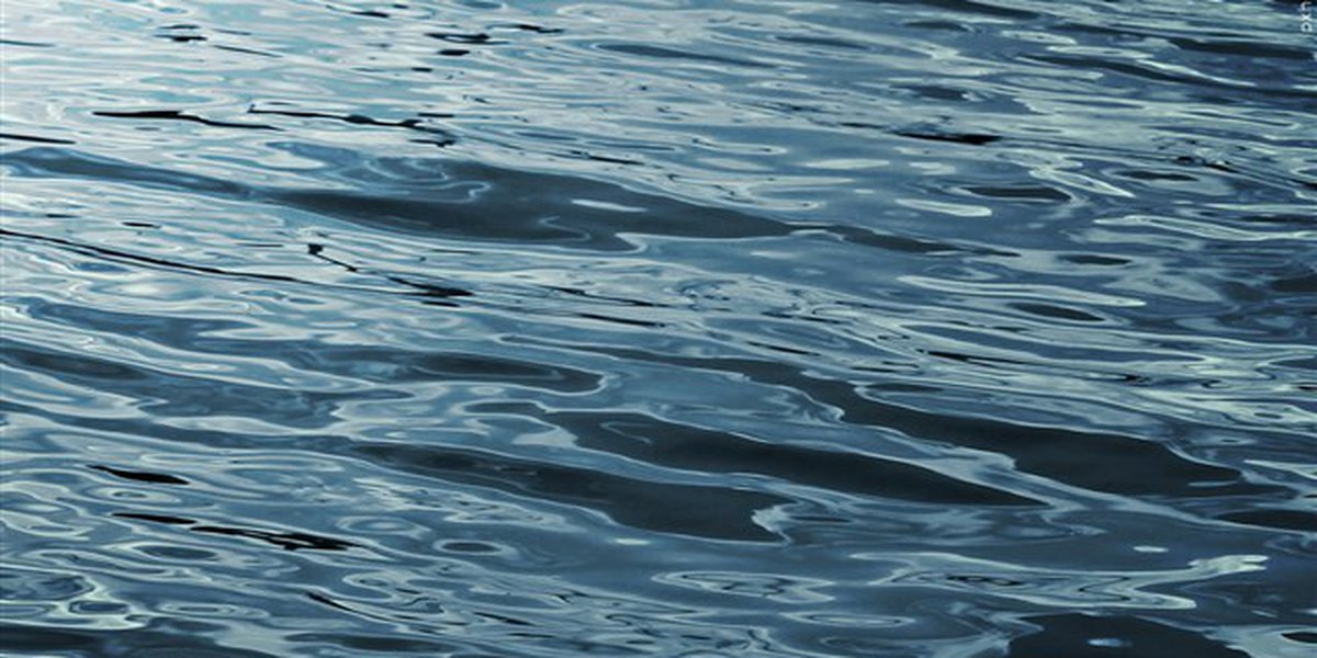 "Dive Teams Recover Body of Drowning Victim in Tuscaloosa Lake"