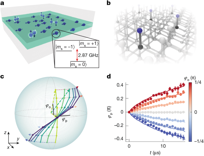 Featured image for Enhancing Quantum and Solid-State Sensor Sensitivity with Asymmetric Echo Techniques