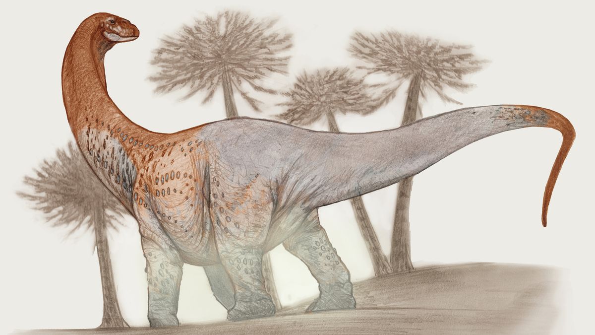 Massive Argentine Dinosaur Fossils Break Road During Transport