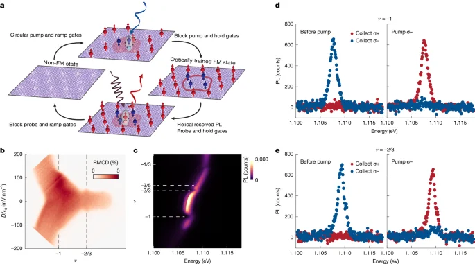 Optical control writes and flips topological states in moiré MoTe2