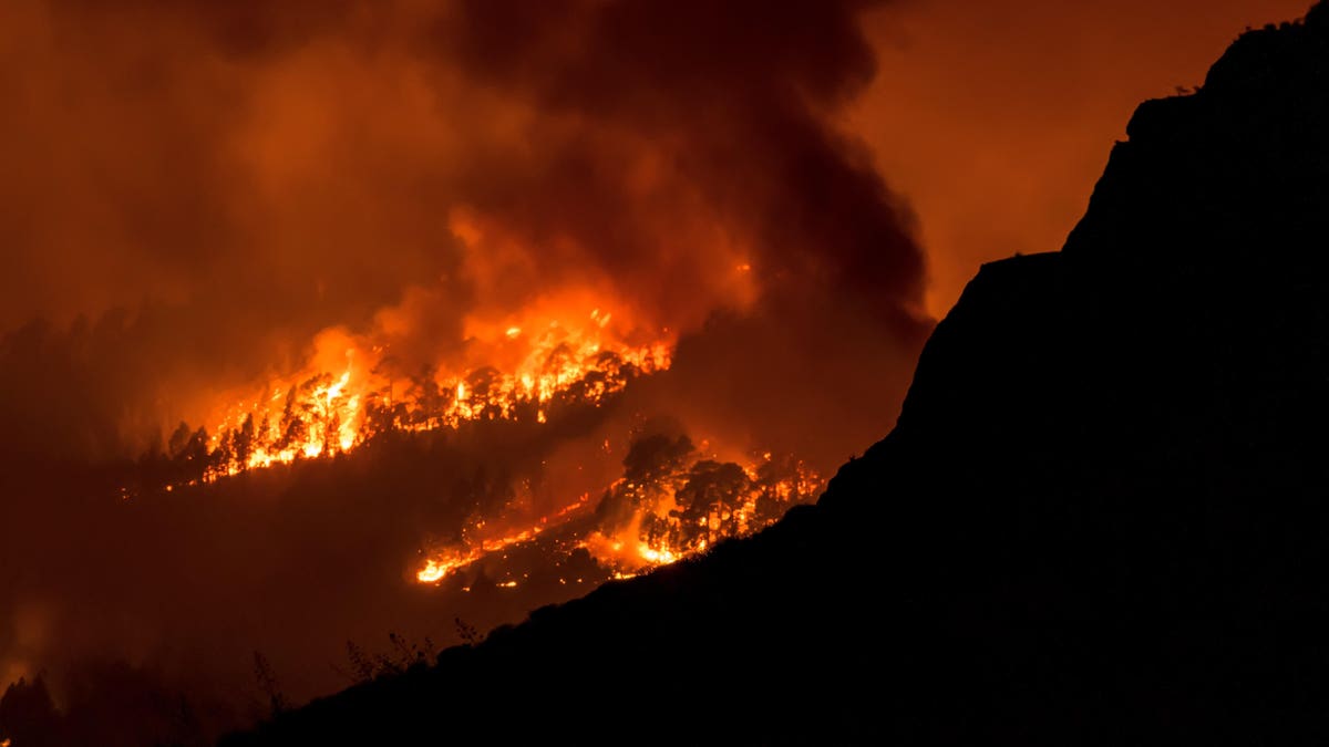 Massive Evacuations as Wildfire Rages on Spain's Tenerife