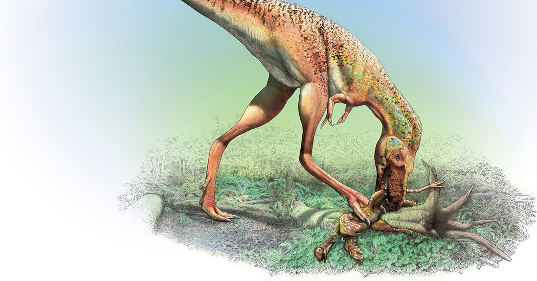 Featured image for Teenage Tyrannosaur's Fossilized Stomach Unveils Prey Preference