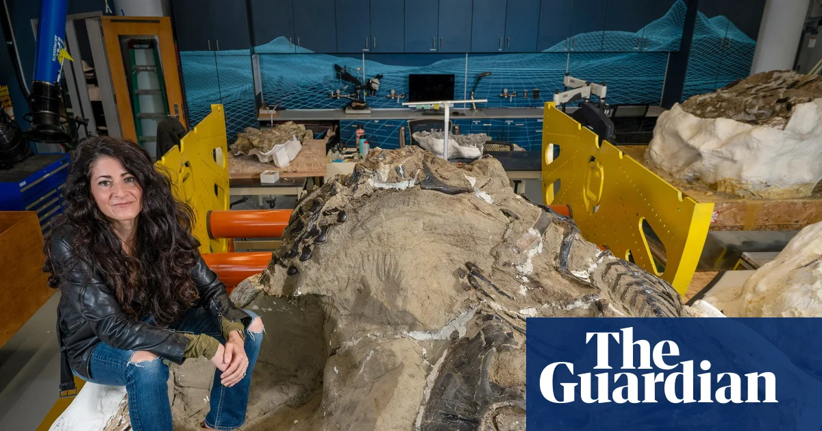 Featured image for New Tyrannosaur Species Discovered in 'Dueling Dinosaurs' Fossil