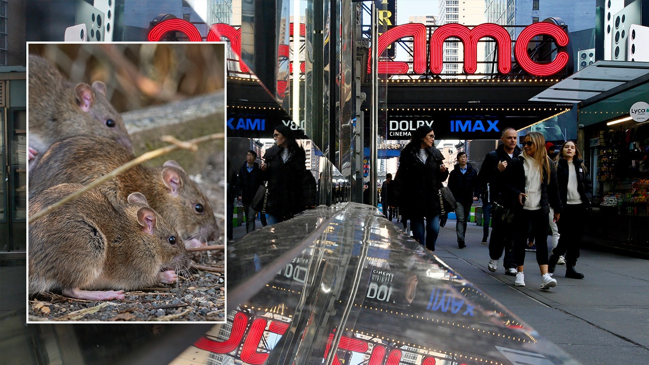 "NYC Cinema Crisis: Patrons Appalled by Rat Infestation at AMC Theaters"